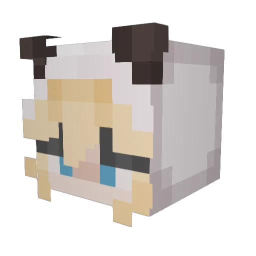 Enroqur Minecraft avatar head, 3D render