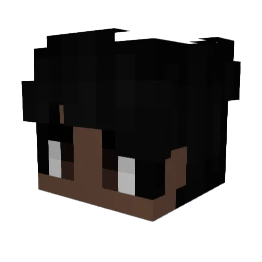 Enryce_ Minecraft avatar head, 3D render
