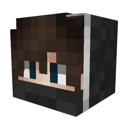 Ens4yne Minecraft avatar head, 3D render