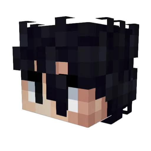 Ensbrls Minecraft avatar head, 3D render