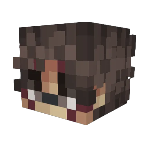 Ensiga_ Minecraft avatar head, 3D render