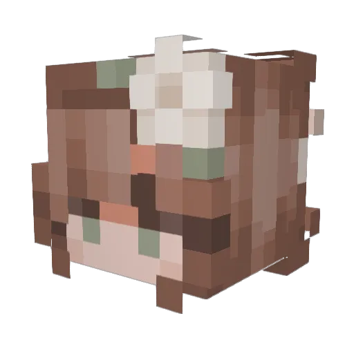 Ensley_18 Minecraft avatar head, 3D render