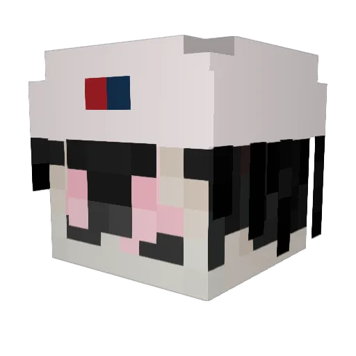 Ensona Minecraft avatar head, 3D render