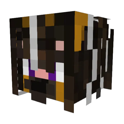 Enstinkque Minecraft avatar head, 3D render