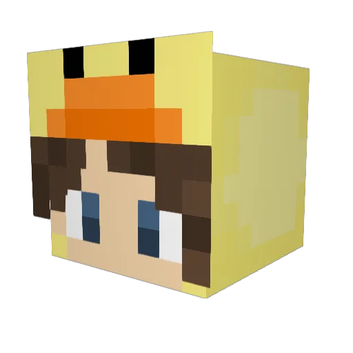 Ente0137 Minecraft avatar head, 3D render
