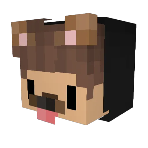 EnteGutAllesBrot Minecraft avatar head, 3D render