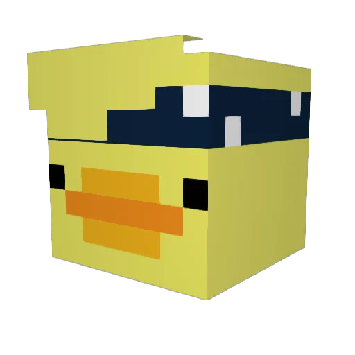 Ente_Rekt Minecraft avatar head, 3D render