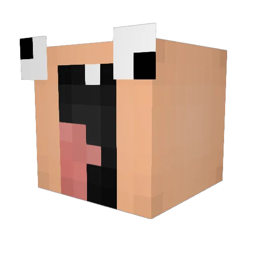 Enteaufmgrill12 Minecraft avatar head, 3D render