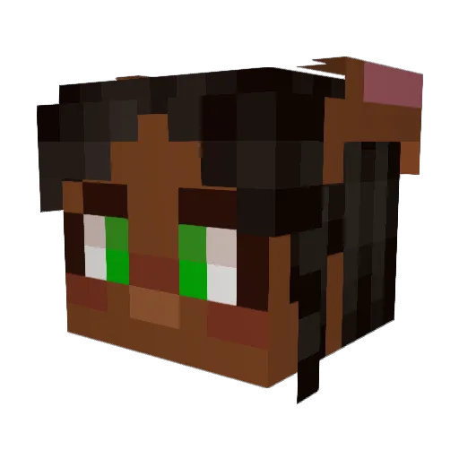 Entekaduck Minecraft avatar head, 3D render