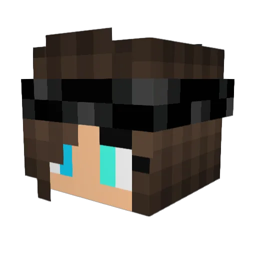 EntenLiebhaberin Minecraft avatar head, 3D render