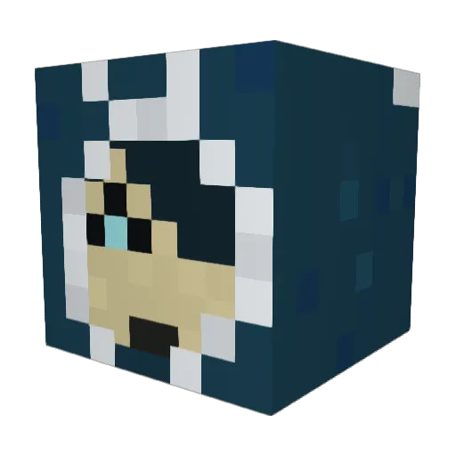 EnterTheG4mer0 Minecraft avatar head, 3D render
