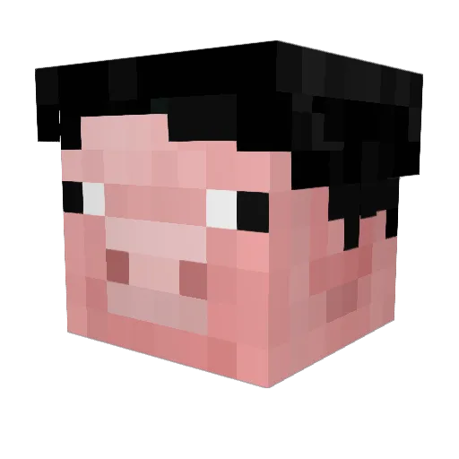 EnterTheGungeon Minecraft avatar head, 3D render