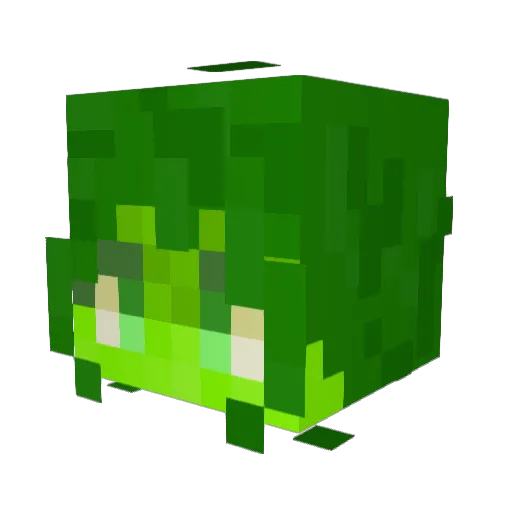 Enter_Craft Minecraft avatar head, 3D render
