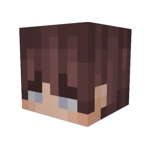 EntertheChicken Minecraft avatar head, 3D render