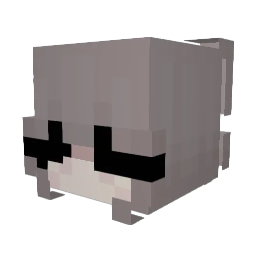 Entexx5656 Minecraft avatar head, 3D render
