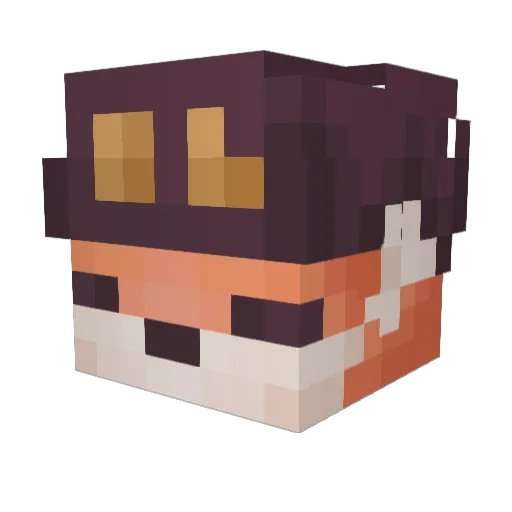Enthrayu Minecraft avatar head, 3D render