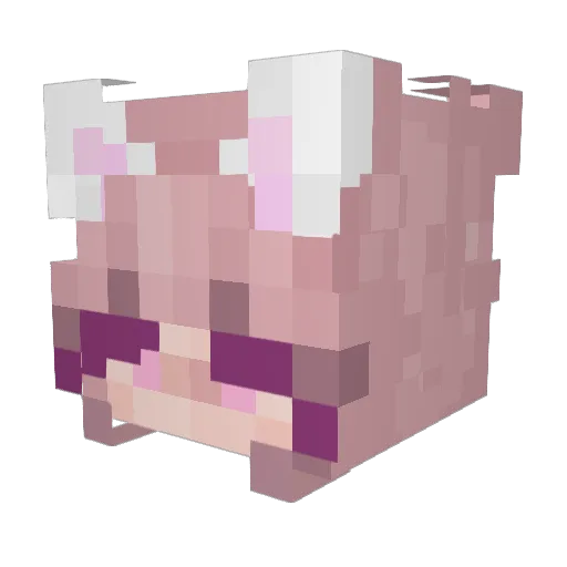 Enti_52 Minecraft avatar head, 3D render