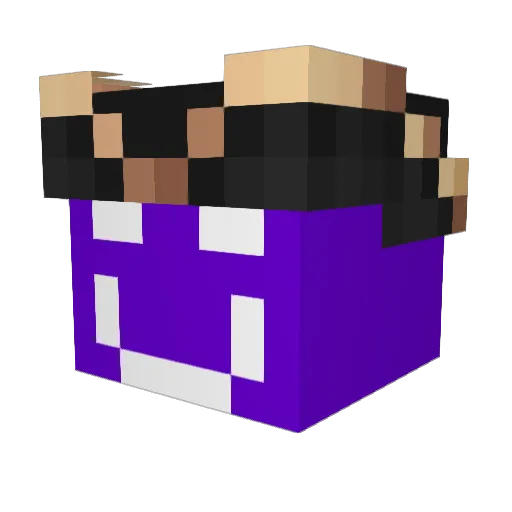 EntimEnd Minecraft avatar head, 3D render