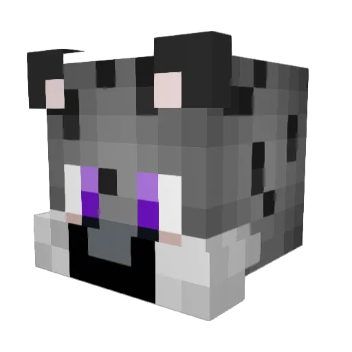 EntirelyVoid Minecraft avatar head, 3D render