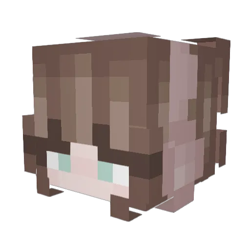 EntisRamen Minecraft avatar head, 3D render