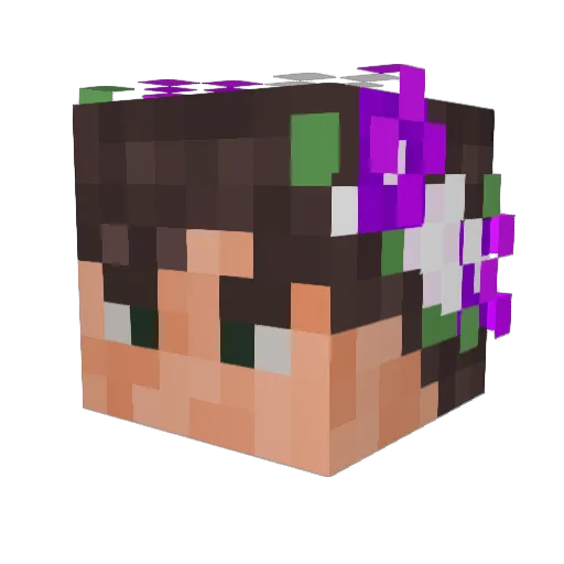 Entity0101 Minecraft avatar head, 3D render