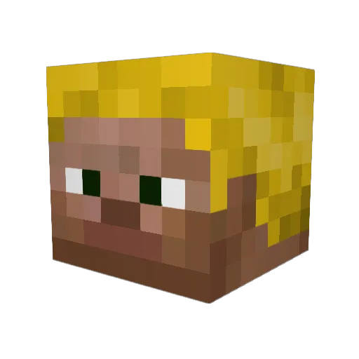 Entity1337 Minecraft avatar head, 3D render