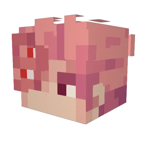 Entity3039 Minecraft avatar head, 3D render
