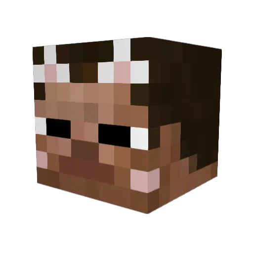 Entity821 Minecraft avatar head, 3D render