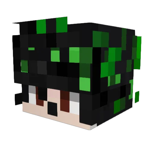 EntityBug101 Minecraft avatar head, 3D render