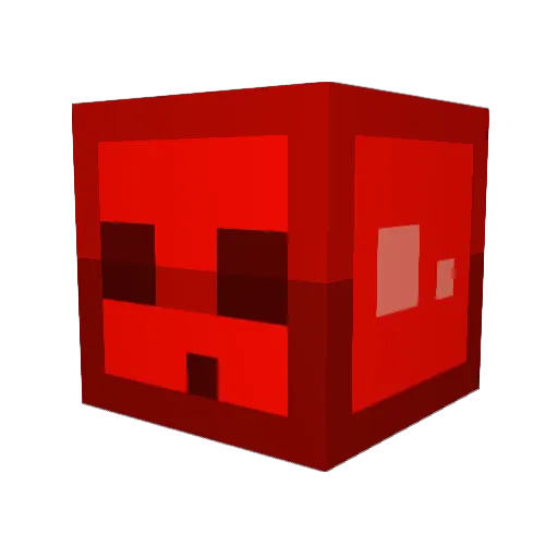 EntityNaw Minecraft avatar head, 3D render