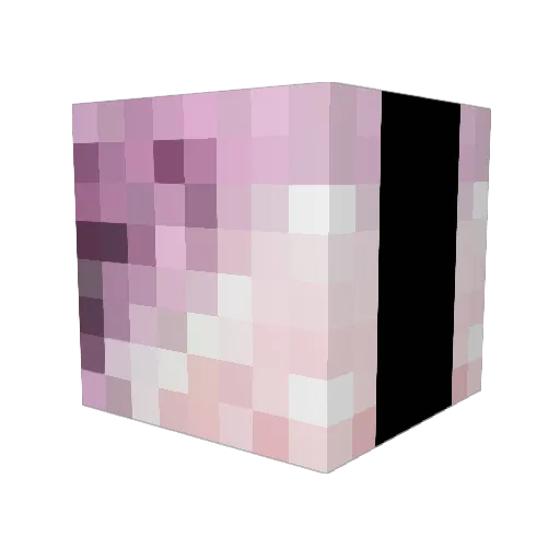 EntlNght Minecraft avatar head, 3D render