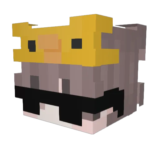 Entloser Minecraft avatar head, 3D render