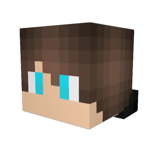 EntnickDich Minecraft avatar head, 3D render