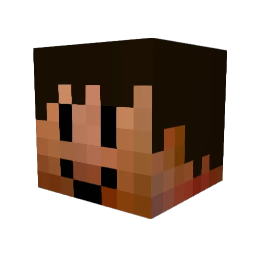 Entomoligist Minecraft avatar head, 3D render