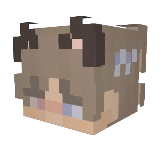 Entr0pic_ Minecraft avatar head, 3D render
