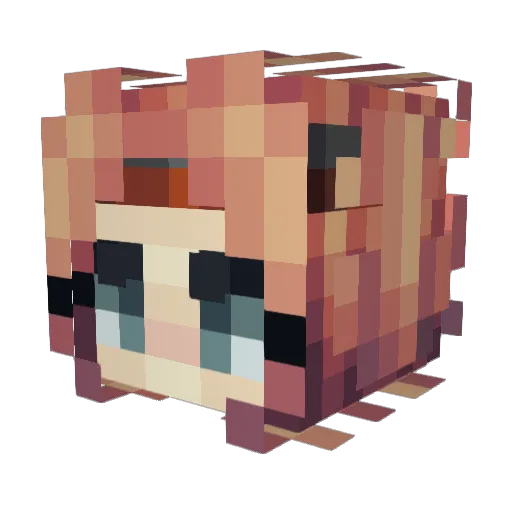 Entropy0804 Minecraft avatar head, 3D render