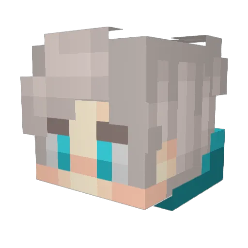 EntropyNChaos Minecraft avatar head, 3D render
