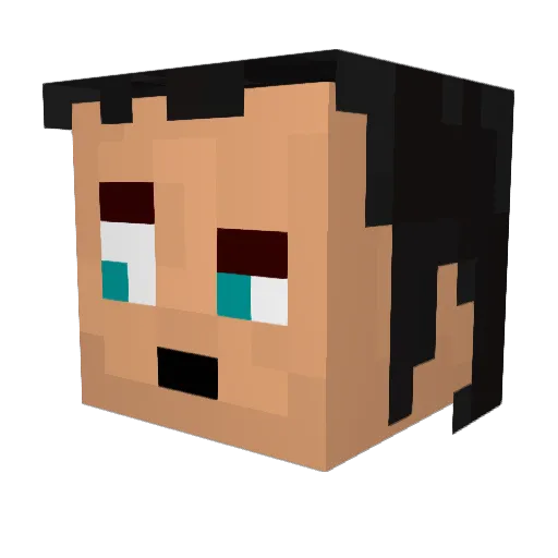 Entropyfiddler Minecraft avatar head, 3D render