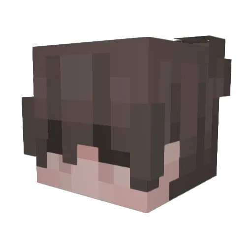 Entry1337 Minecraft avatar head, 3D render