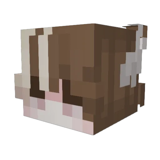 Entuhs Minecraft avatar head, 3D render