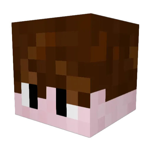 EntunyJR Minecraft avatar head, 3D render