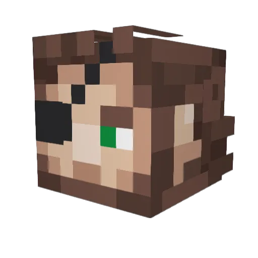 Entweser Minecraft avatar head, 3D render
