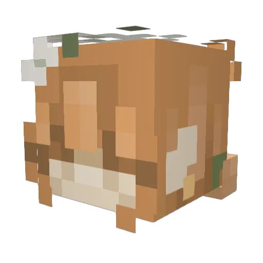 EntwifeJessi Minecraft avatar head, 3D render
