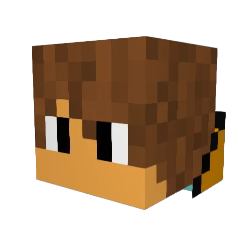 Enur91 Minecraft avatar head, 3D render