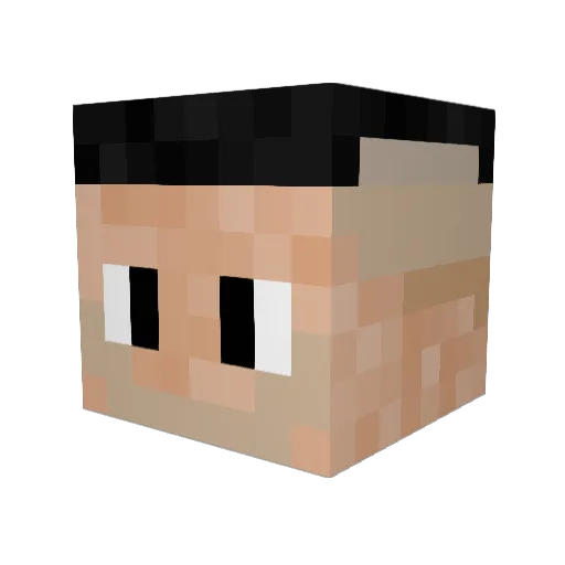 Enus57 Minecraft avatar head, 3D render