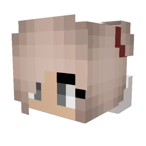 Enuxiin Minecraft avatar head, 3D render