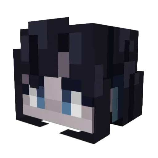 Env1x_ Minecraft avatar head, 3D render