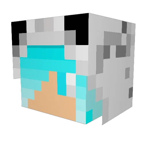 EnvYDreaM Minecraft avatar head, 3D render