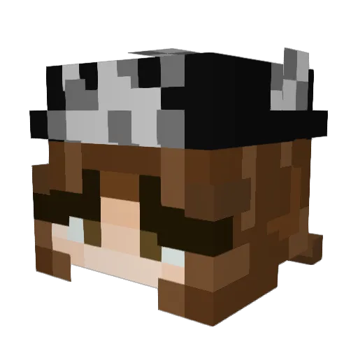 EnviAmethyst Minecraft avatar head, 3D render