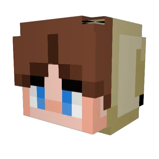 Enviousxr6 Minecraft avatar head, 3D render